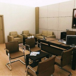 tsrm11