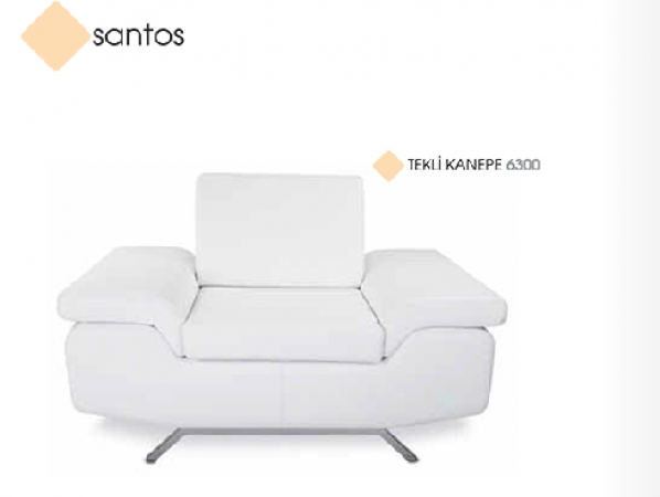santos tekli.png.1